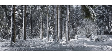 Waldkalender – Winterwald bei Holzkirchen