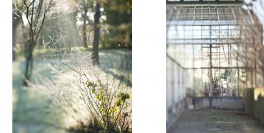 Reportagefotografie, Reportage, selektiv01, die selektive Wahrnehmung, Botanische Garten, München