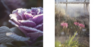 Reportagefotografie, Reportage, selektiv01, die selektive Wahrnehmung, Botanische Garten, München